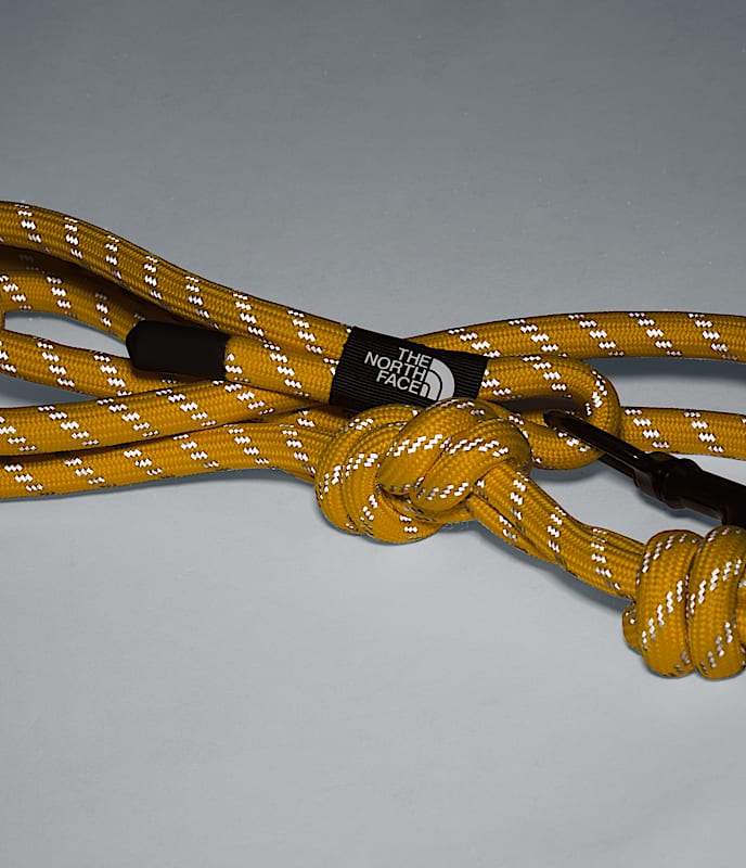 TNF? Pet Leash - Image 3