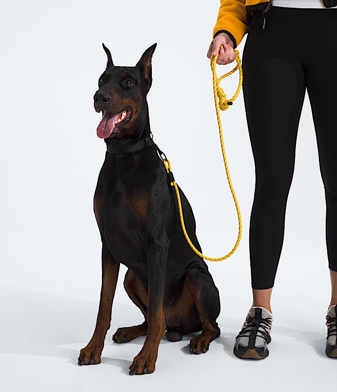 TNF? Pet Leash - Image 2