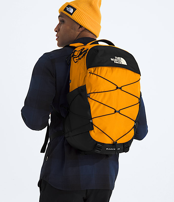 Borealis Backpack - Image 4