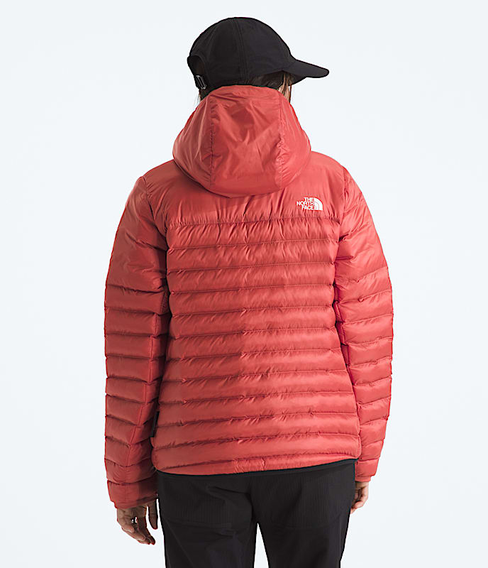 Women's Terra Peak Hoodie - Image 4