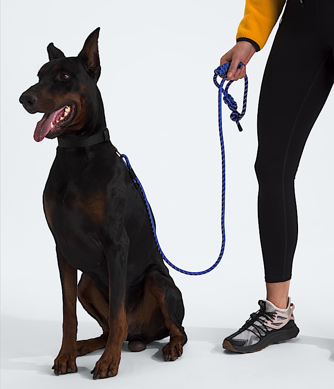 TNF? Pet Leash - Image 2